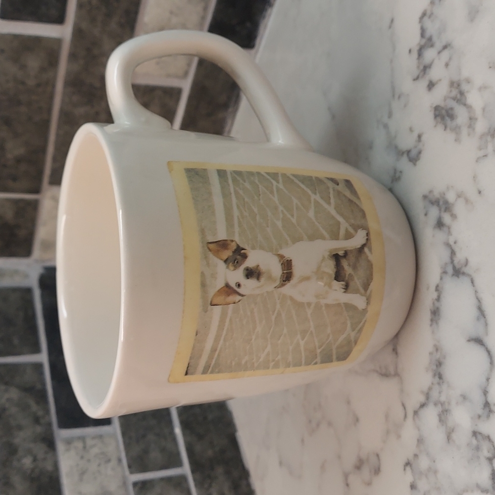Rae Dunn i need COFFEE with polaroid dog coffee/tea mug